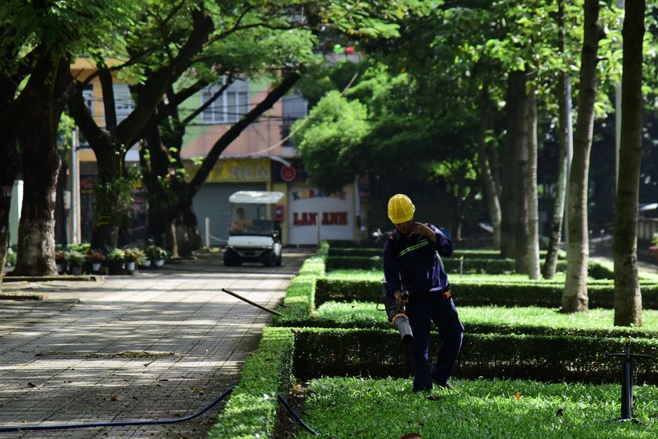 A worker in a park wearing a hard hat is pruning green hedges with a blower.
