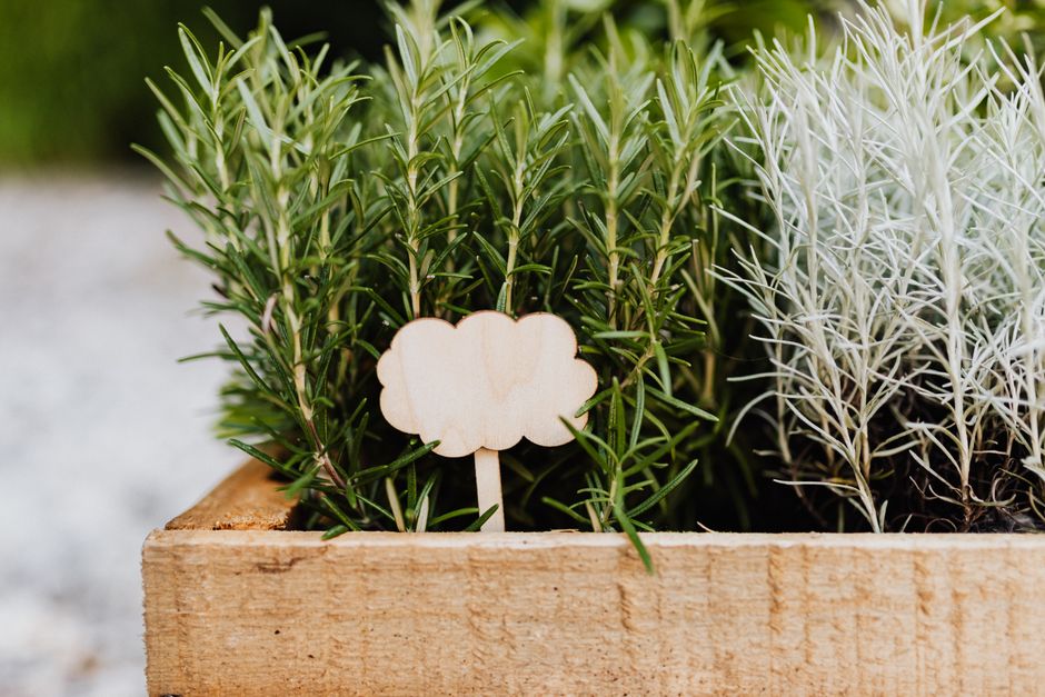 A wooden crate filled with fresh rosemary and lavender plants, featuring and a cloud-shaped sign.