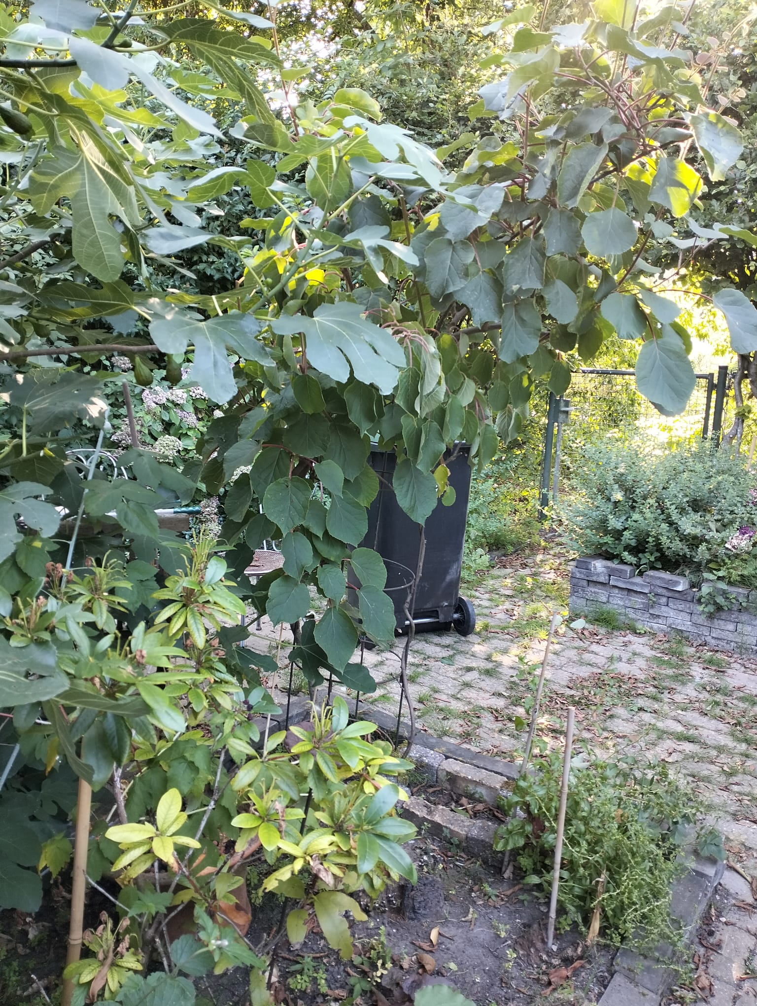 Klus-foto 3