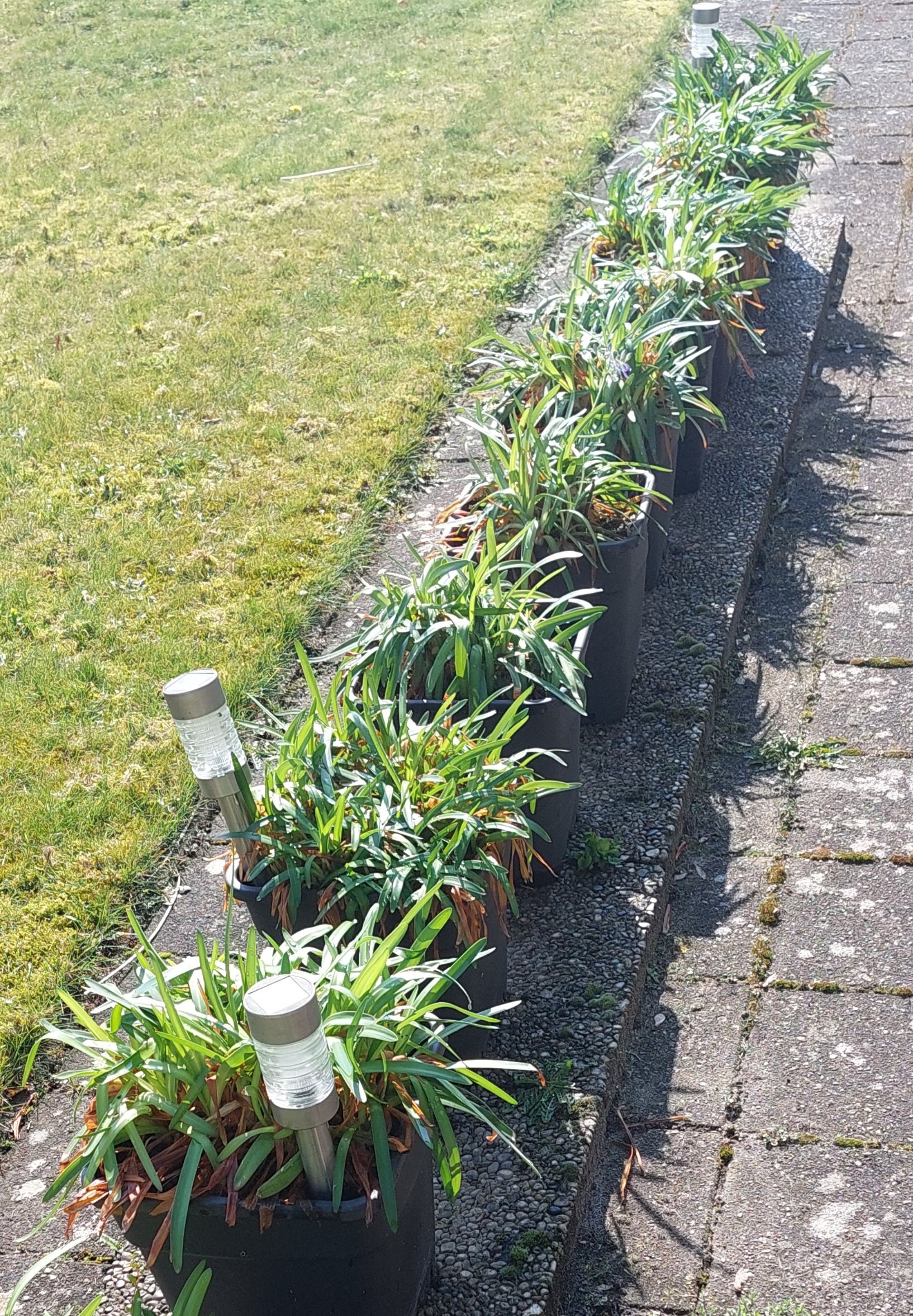 Profielfoto van J., tuinhulp in Valkenswaard