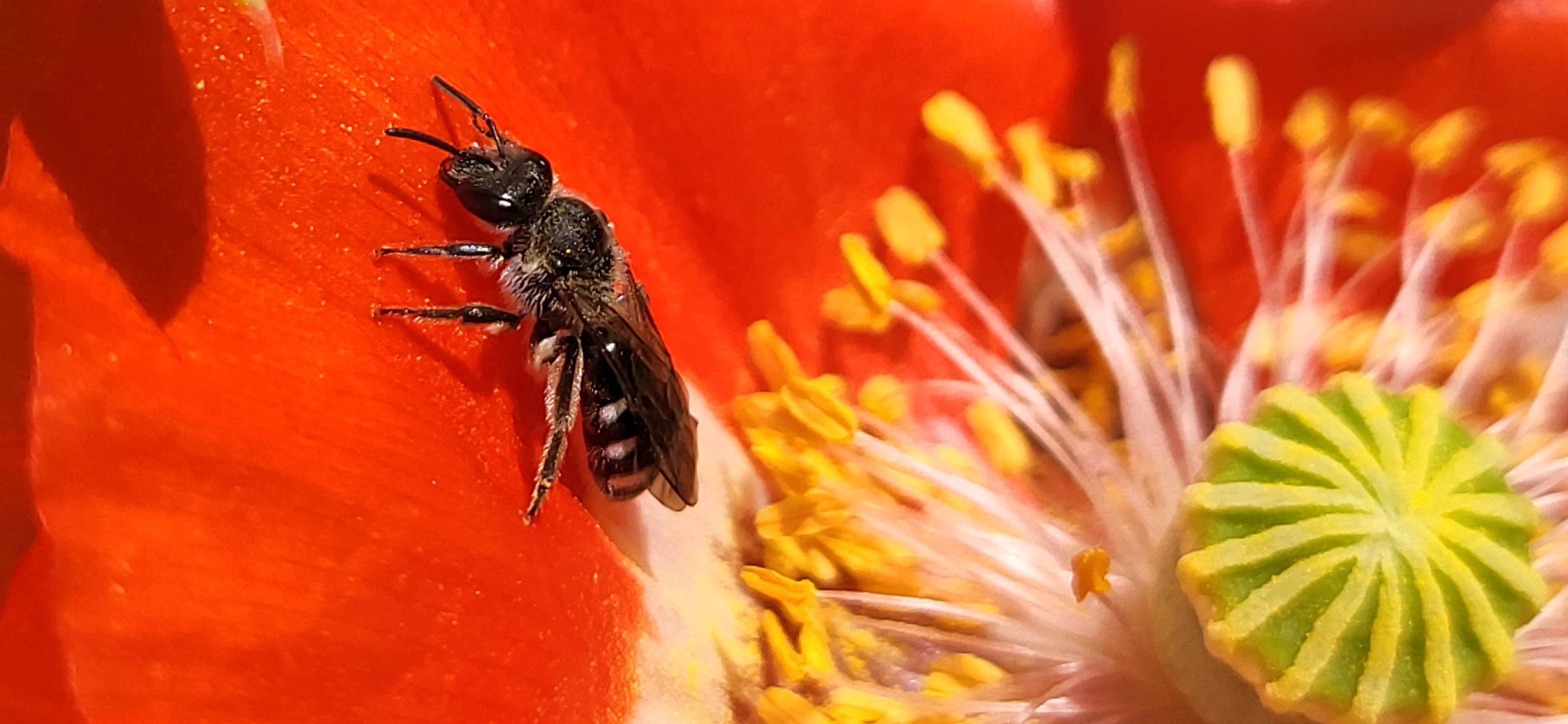 Profielfoto van Door, tuinhulp in Rheden