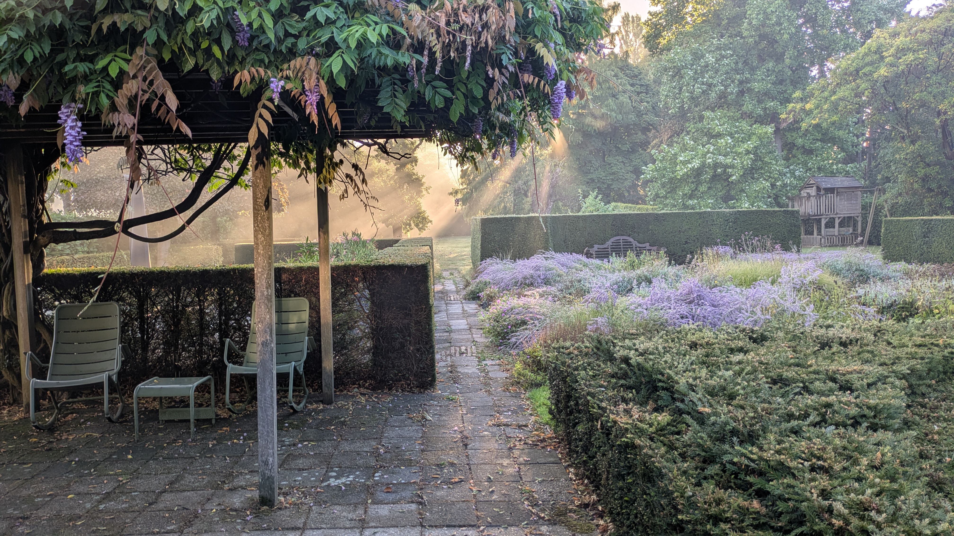 Profielfoto van Frank K., tuinhulp in Woerden