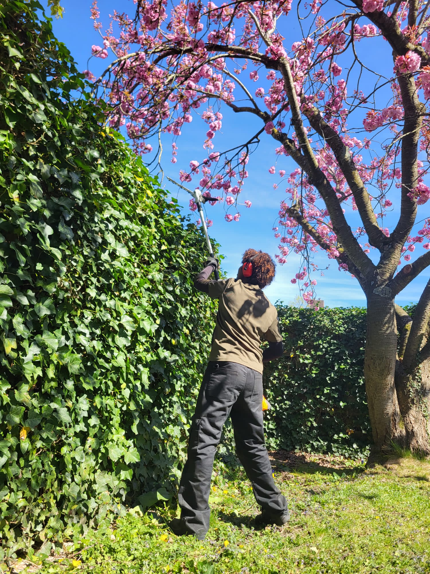 Profielfoto van Cecilia, tuinhulp in Heerlen