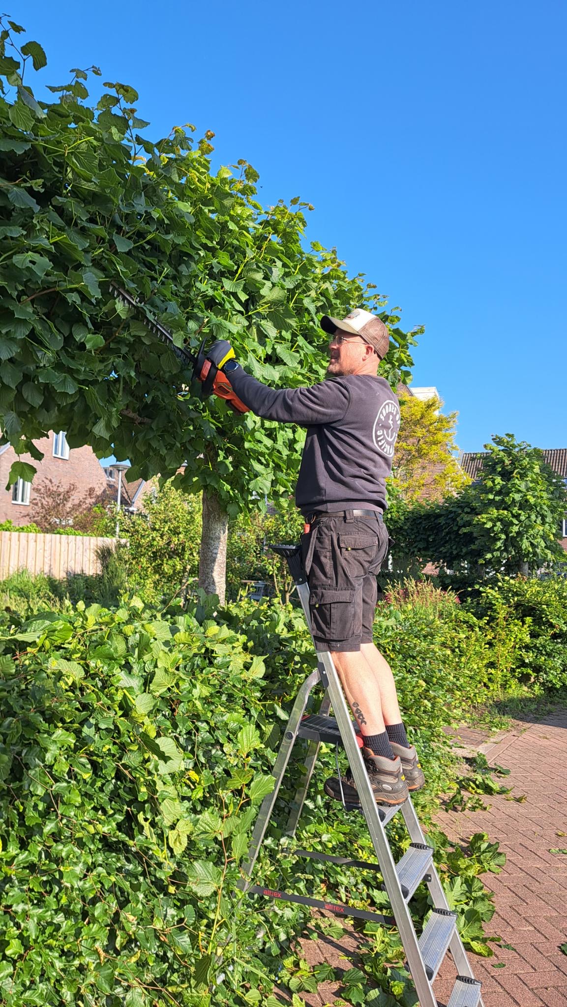 Profielfoto van Deinumite, tuinhulp in Groningen