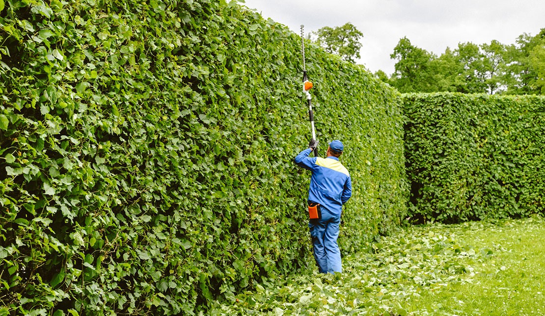 Profielfoto van Eddy, tuinhulp in Almere
