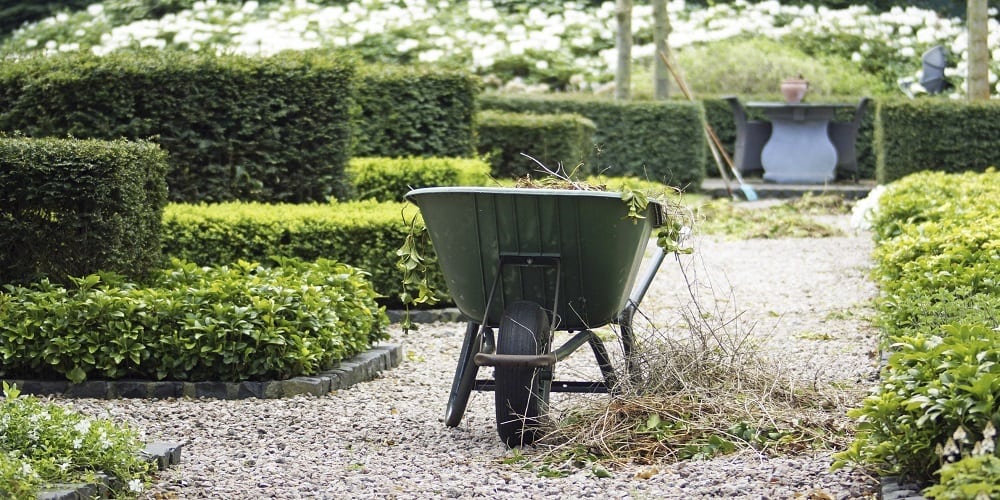 Profielfoto van Tuinman, tuinhulp in Breda