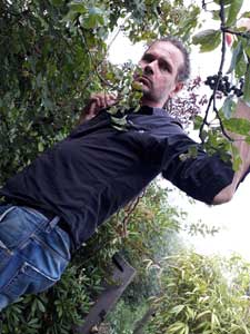 Profielfoto van Tuinhelper, tuinhulp in Amsterdam